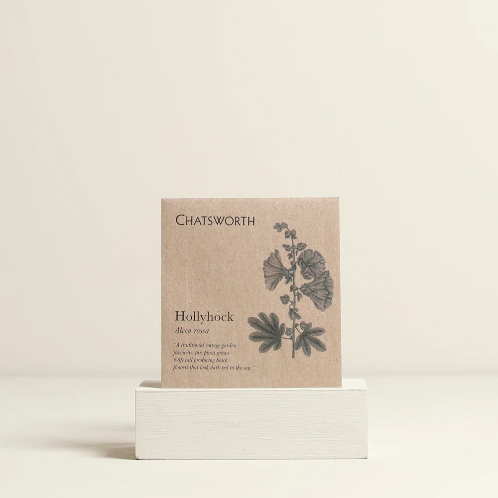 Hollyhock Flower Seeds