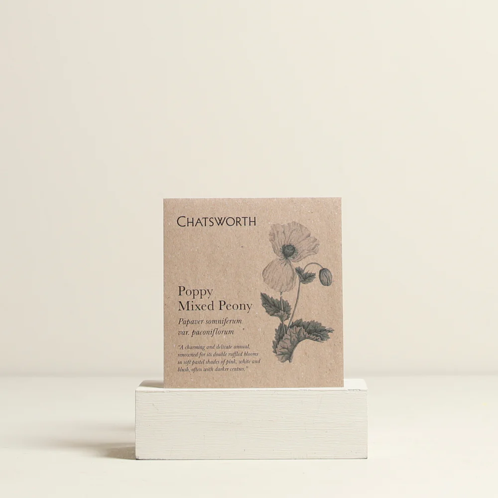Gifts under £50