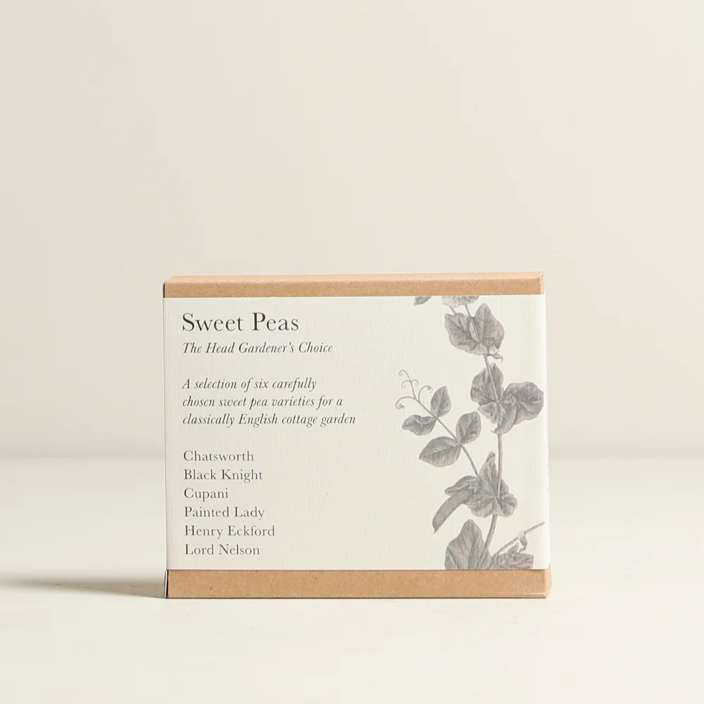Sweet Pea Flowers Giftset