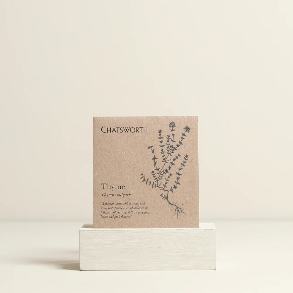 Thyme Herb Seeds